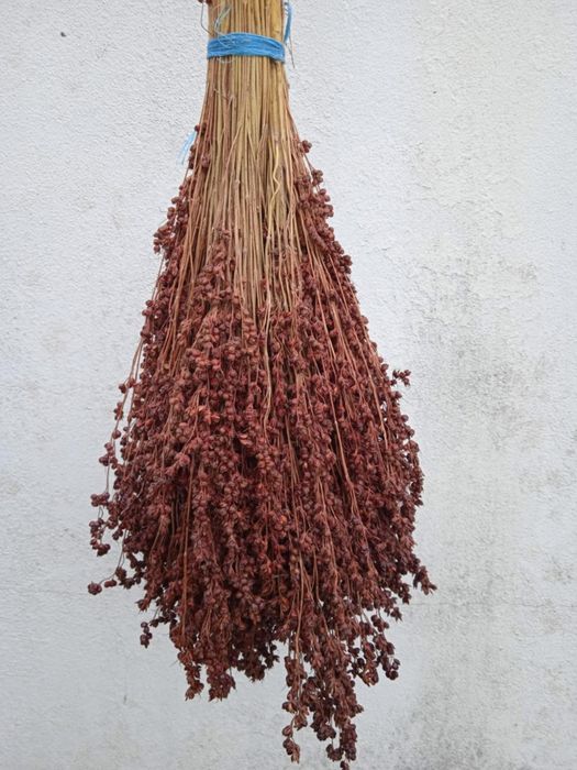 Bonita planta para fazer arranjos, ou centros