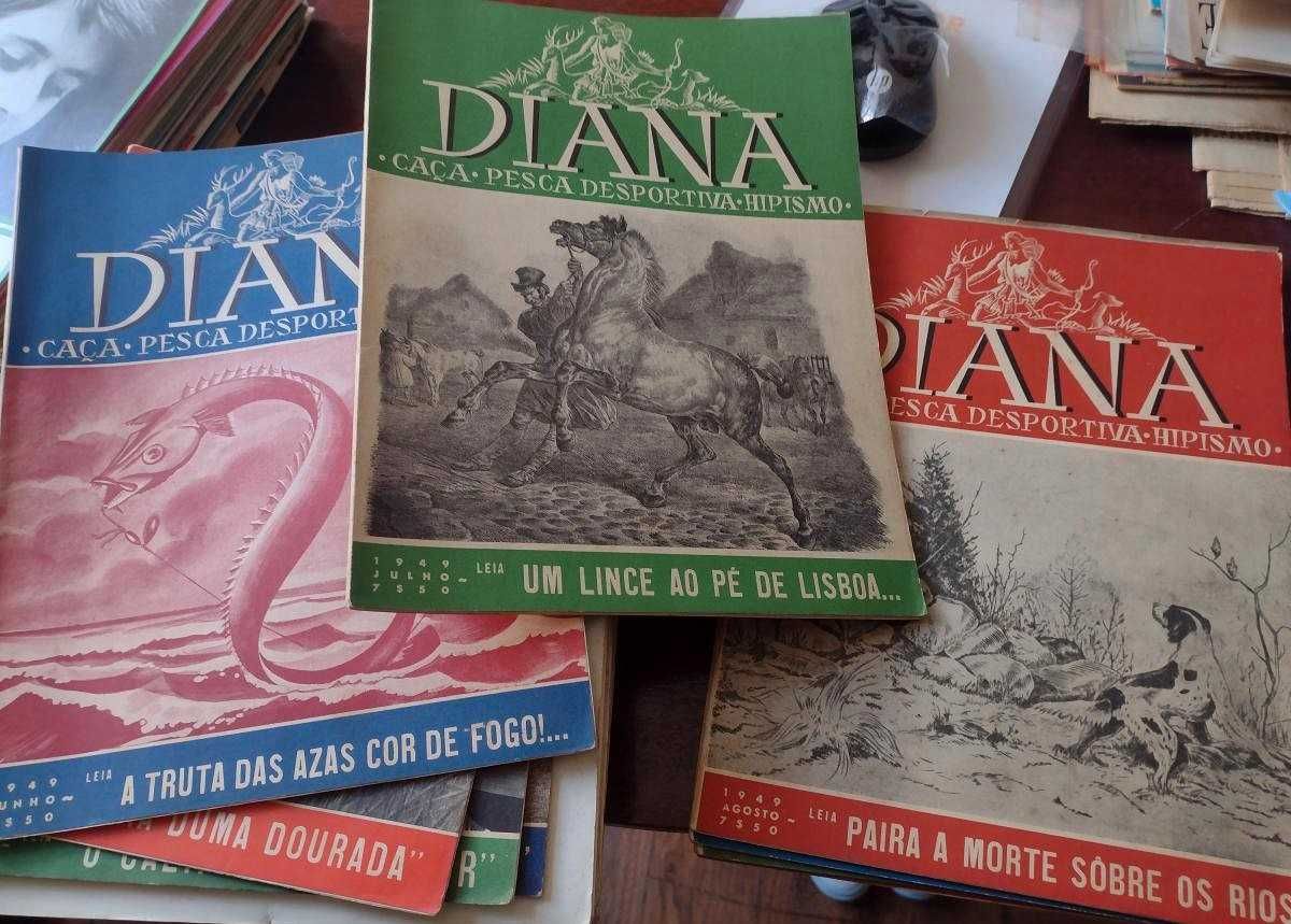 Diana - Caça - Hipismo - Pesca Desportiva 1949