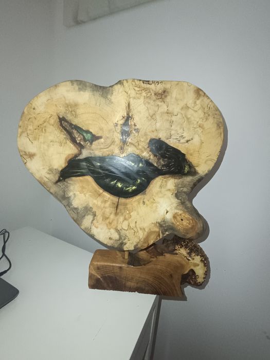 Plaster kasztanowca zielona żywica