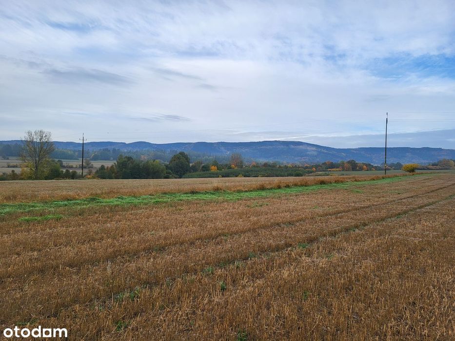 Działki z widokiem na góry - Starków