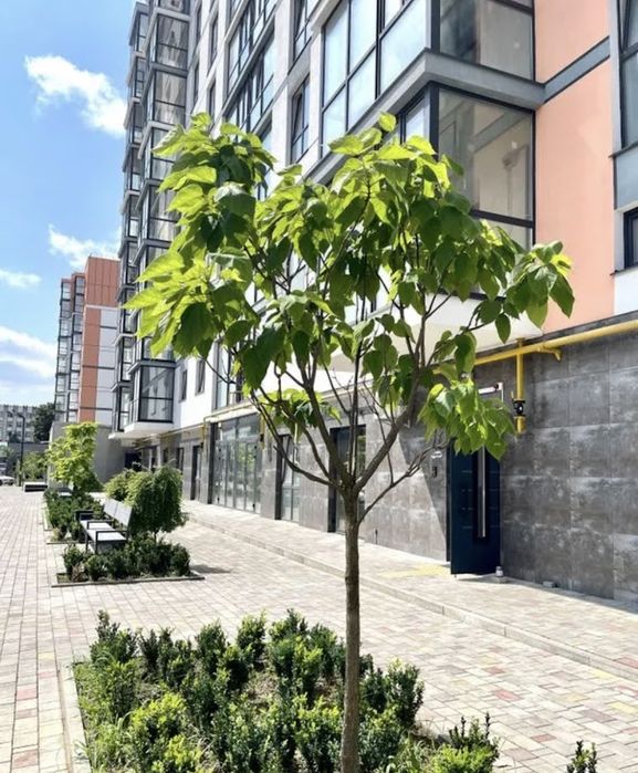 Луцьк Оренда 2  Паркомісця Луцьк вул.Привокзальна 10 Е