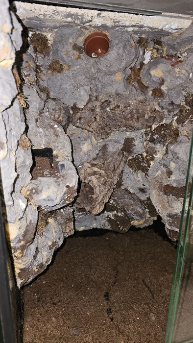 Terrarium szklane pionowe tropikalne