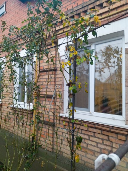 ПРОДАЖ БУДИНКУ в місті Нікополі