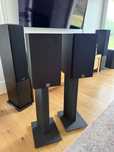 Dali Zensor 3 + statywy