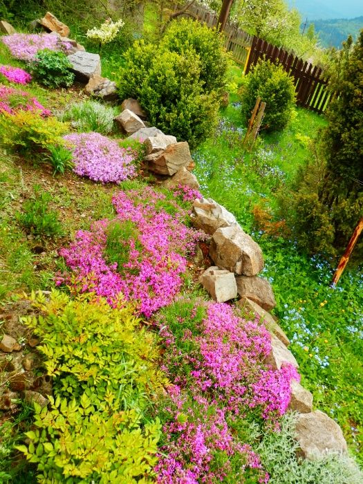 Usługi ogrodnicze,drwalskie,stolarskie. Kraków,Cieszyn.