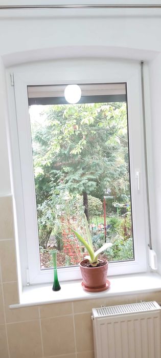 Kawalerka na wynajem