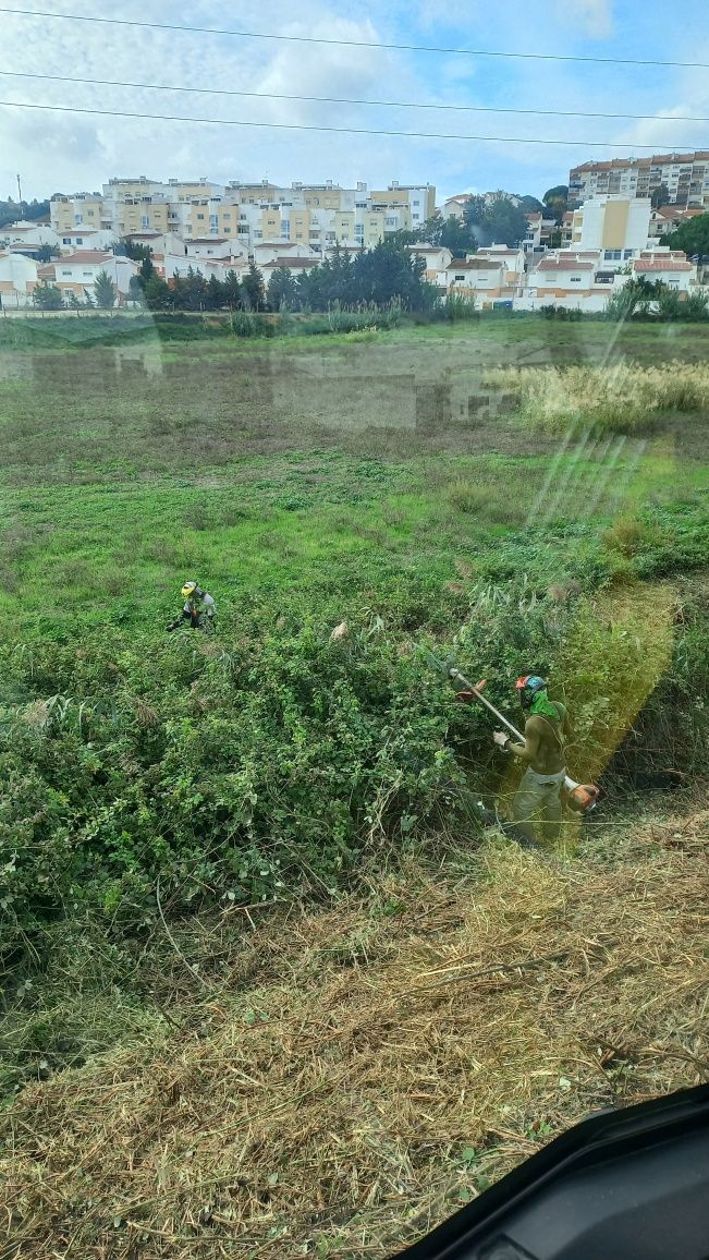 Servico de limpeza de terrenos