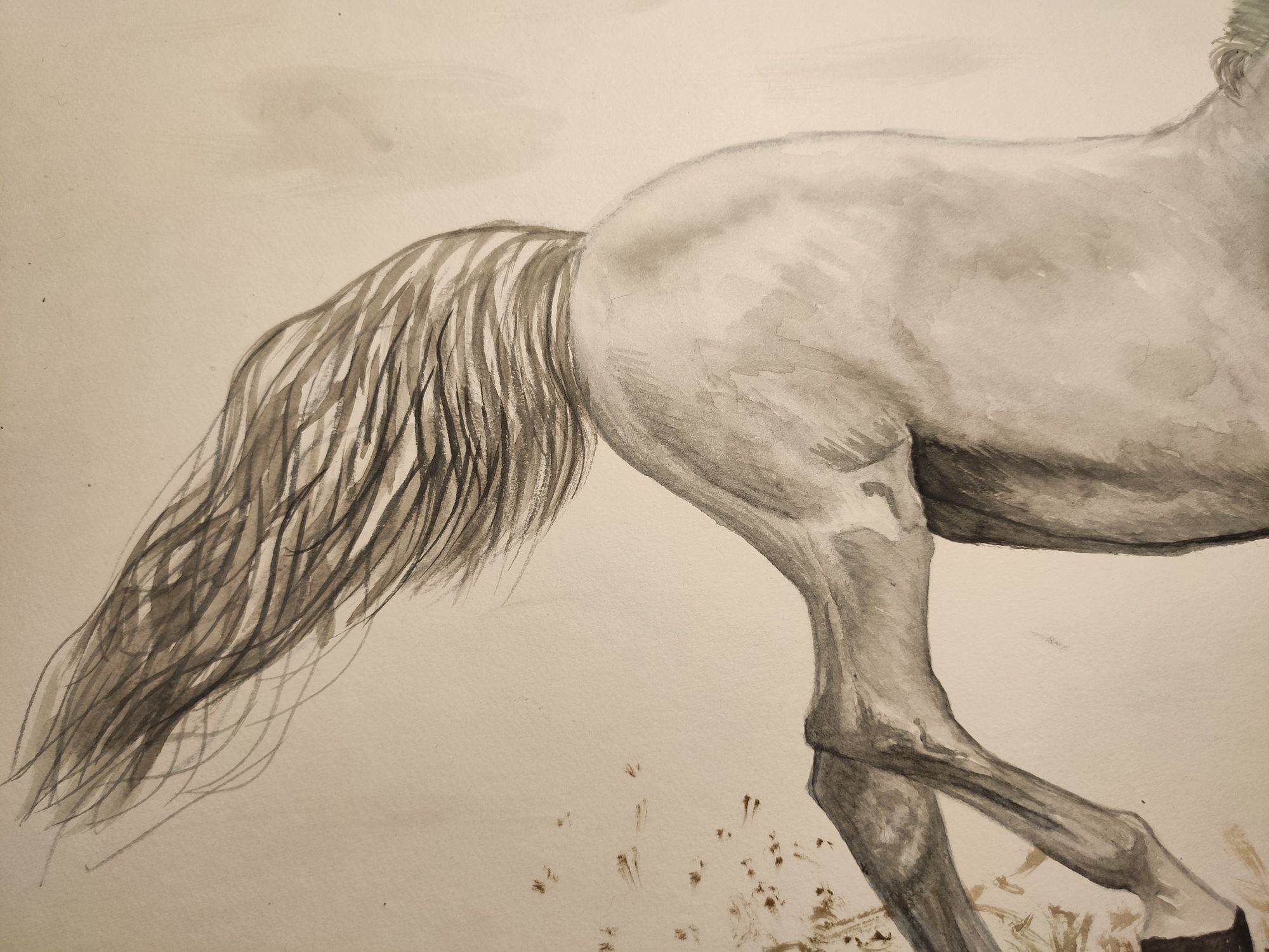 Картина акварелью А3 - лошадь в галопе