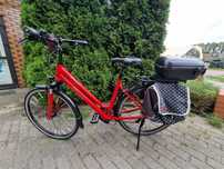 Rower damski Diamant