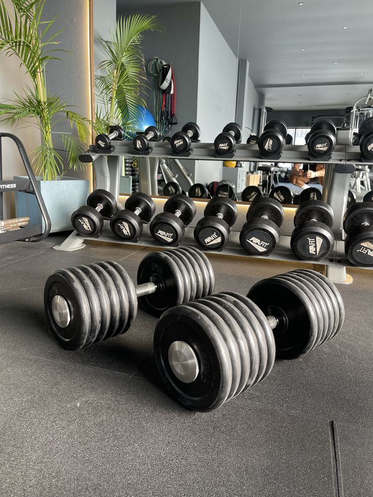 Halteres ajustaveis ate 72,5kg