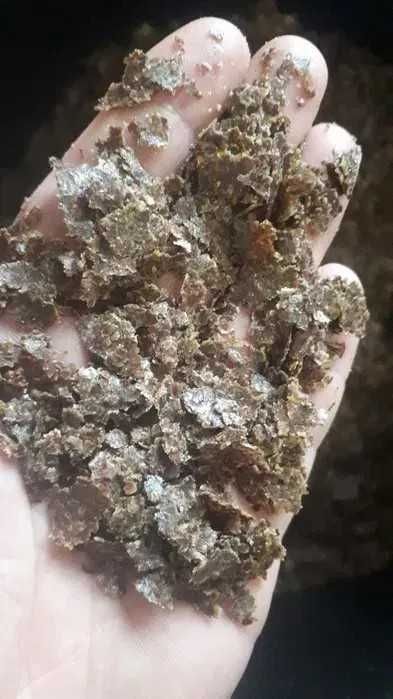 Makuch lniany 20 kg świeży