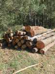 Sprzedam olche 4m/2m