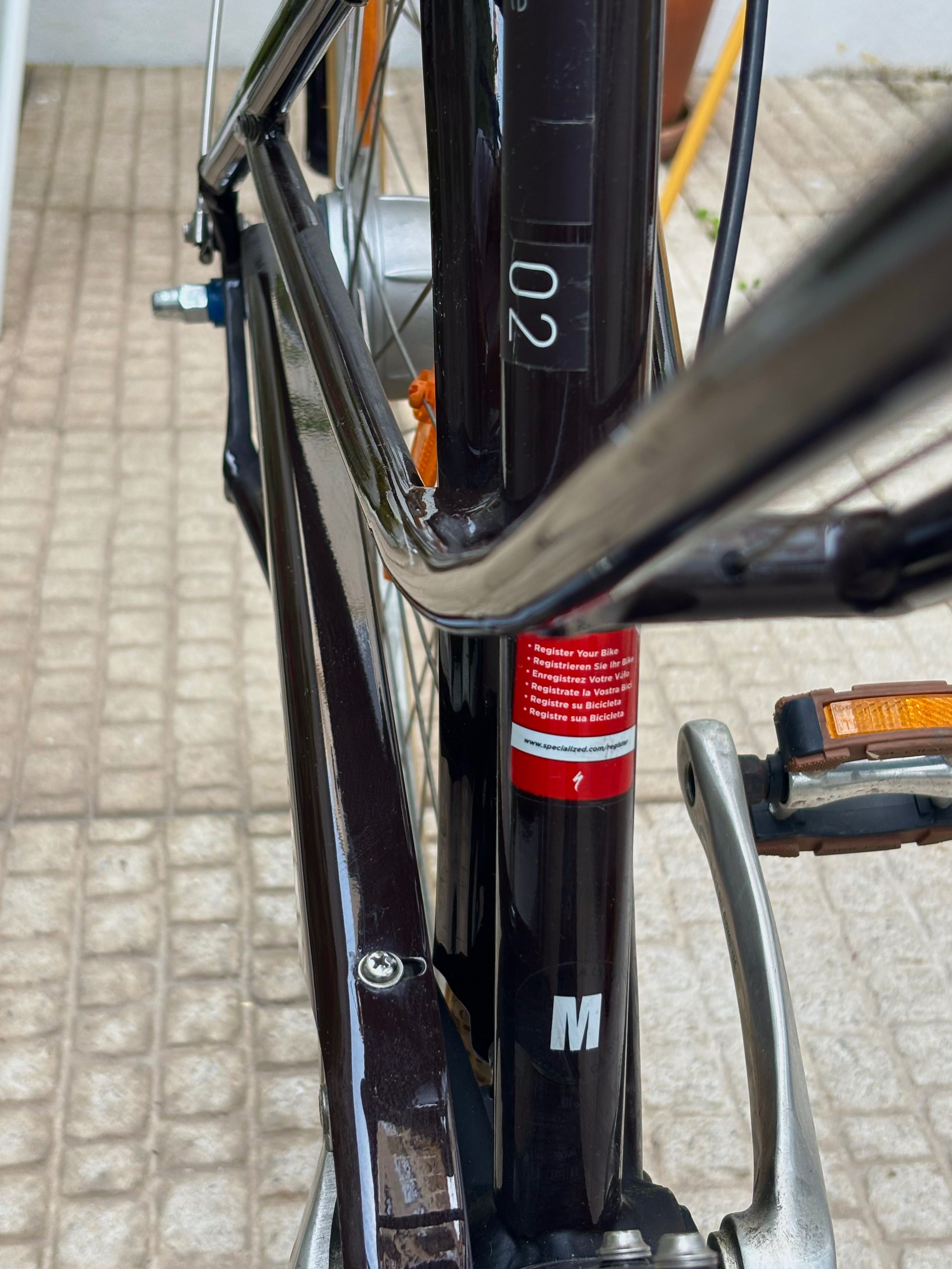 Bicicleta retro topo de gama Specialized nova