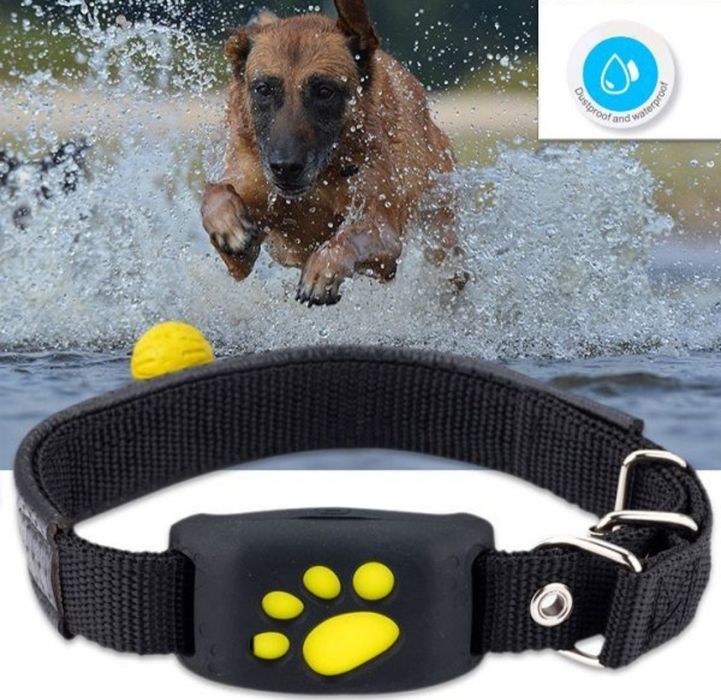 (NOVO) Localizador GPS Animais 100% Exato Cão Gato