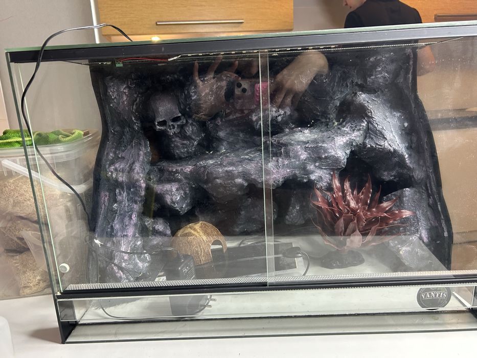 Terarium z dodatkami