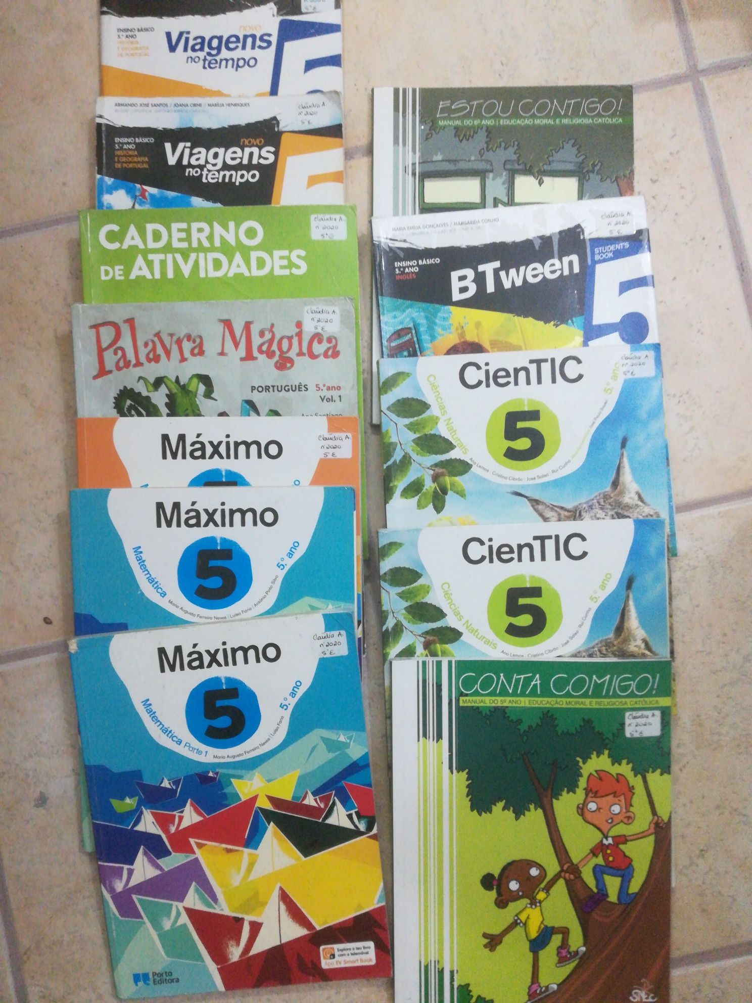 Manuais 5° ano vários