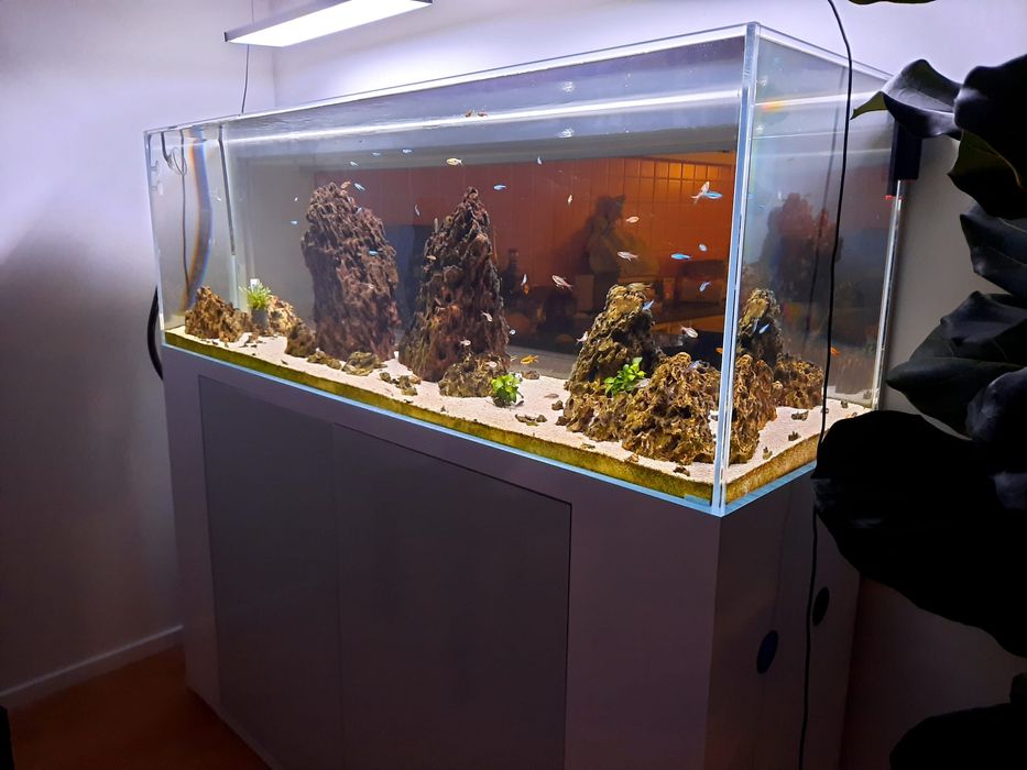 Aquario + móvel + filtros + lâmpadas + muitos acessórios