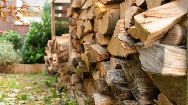 Sprzedam drewno opałowe i kominkowe