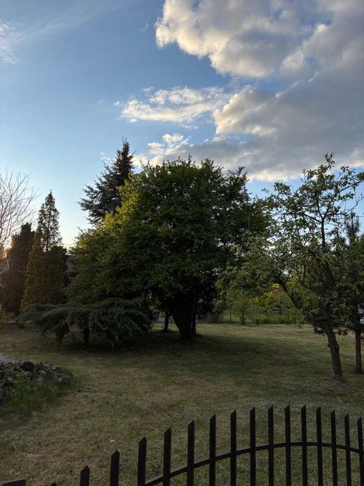 Działka ROD 400 m² + opcja zakupu z działką obok (łącznie 800 m²)