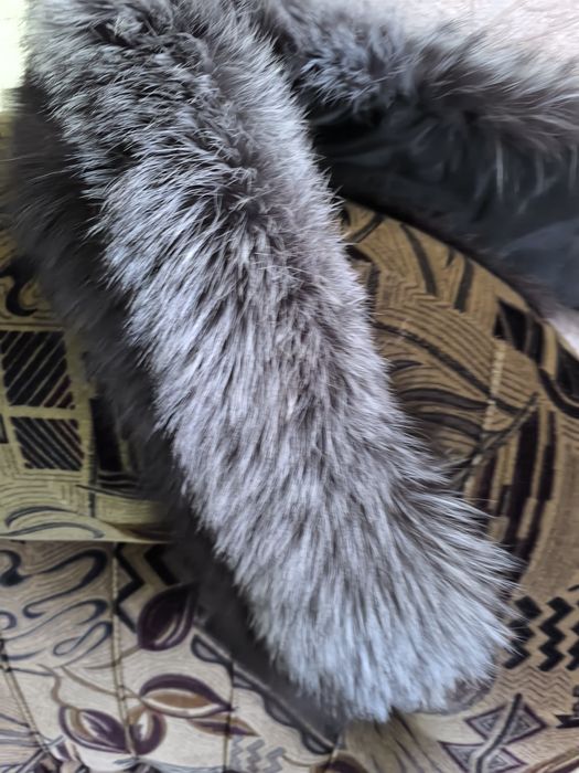 Розкішне хутро чорнобурки