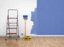 PINTOR PROFICIONAL E ESTUCADOR