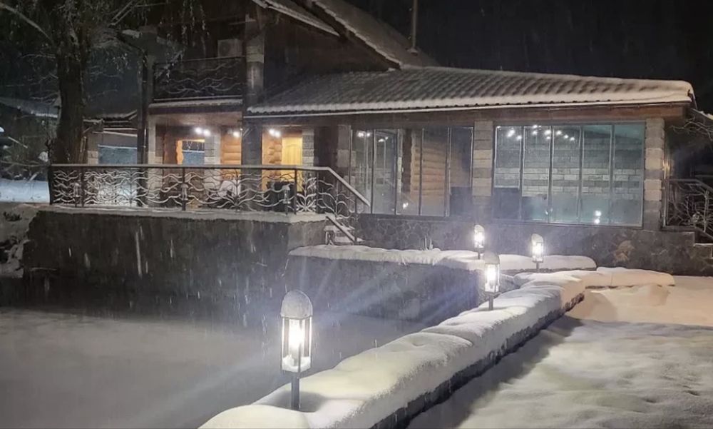 Будинок, котедж в Карпатах