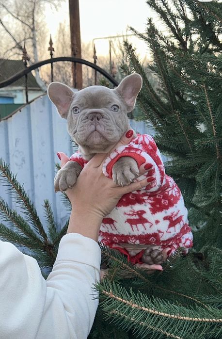 Міні хлопчик новотипний