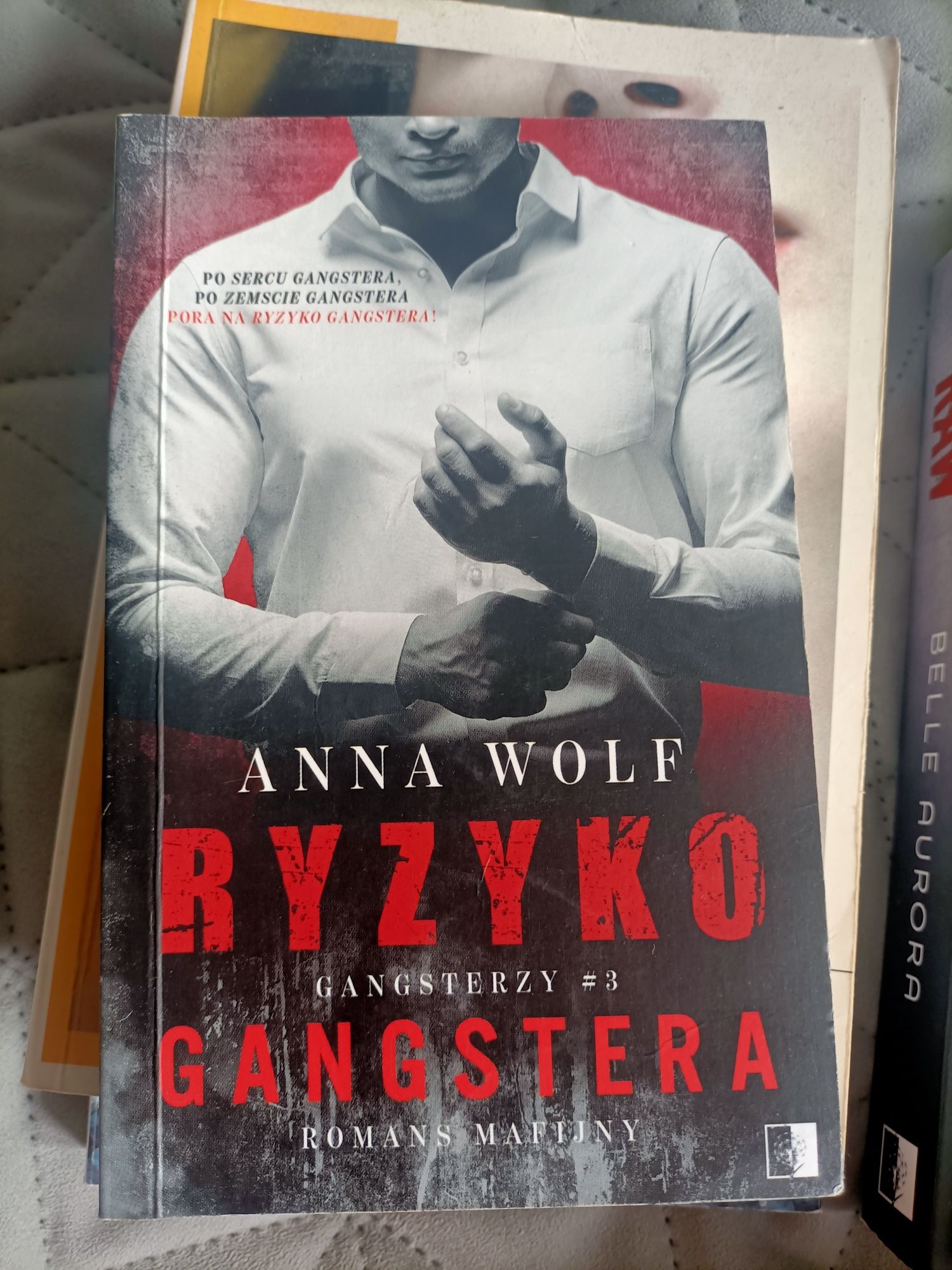 Ryzyko gangstera 3. Anna Wolf (kieszonka)