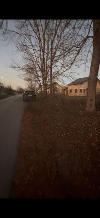 Розчистка ділянки під ключ,Розліснення,Зрізання висотних дерев