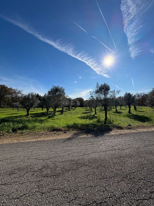 Anúncio de Venda de Terreno – Oportunidade Imperdível! Land for Sale