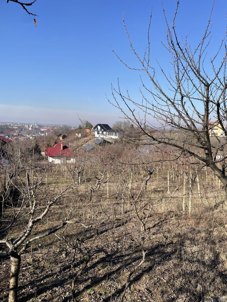 Продам дачу в Виноградові