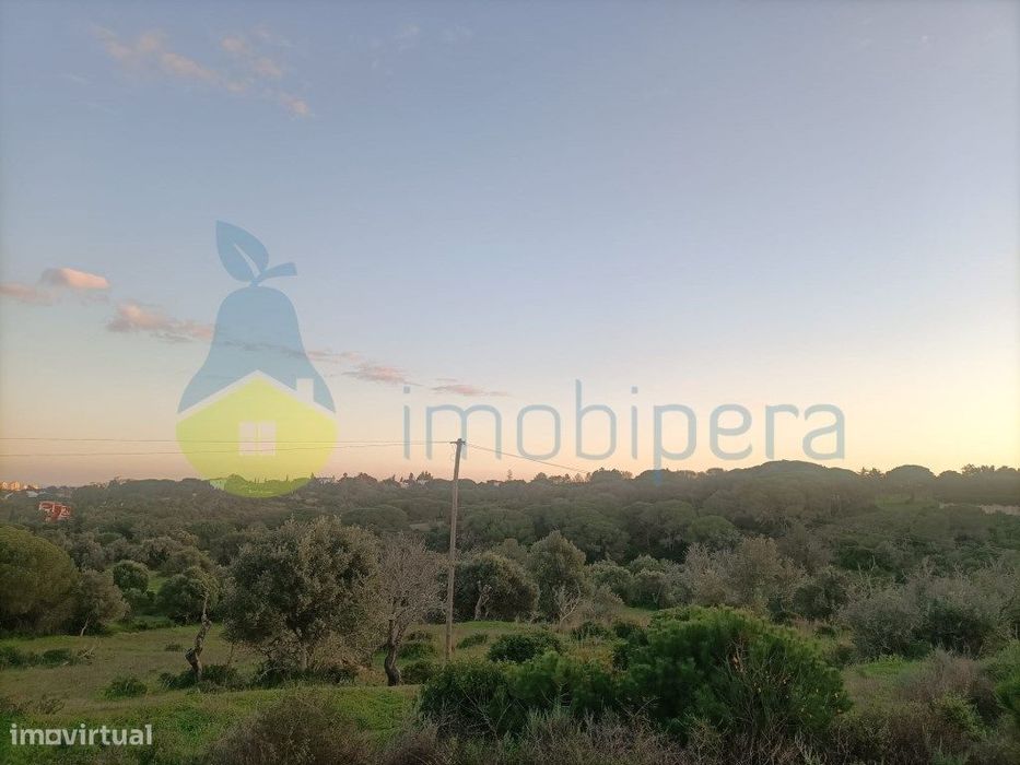 Terreno Rústico Exclusivo em Porches (9.960 m²) - O Seu Refúgio Pri...