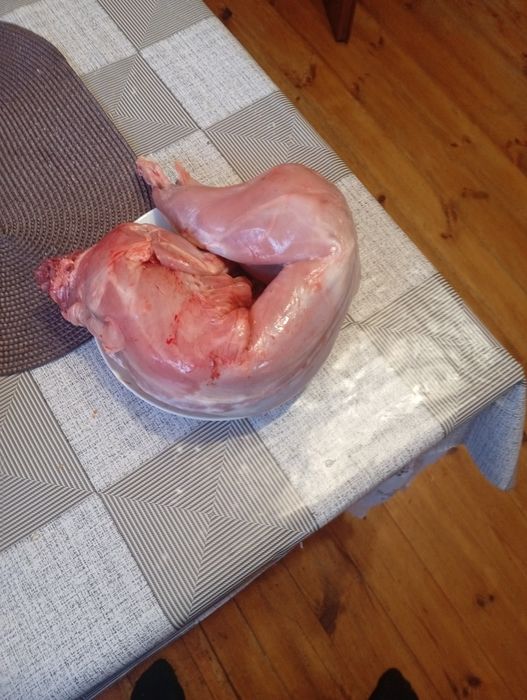 М'ясо кролика свіже