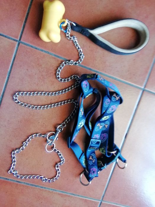 Coleira com peitoral para cães com suporte para sacos.