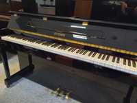 Pianino Euterpe by Bechstein