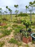 Arrendamento de terreno em área privilegiada