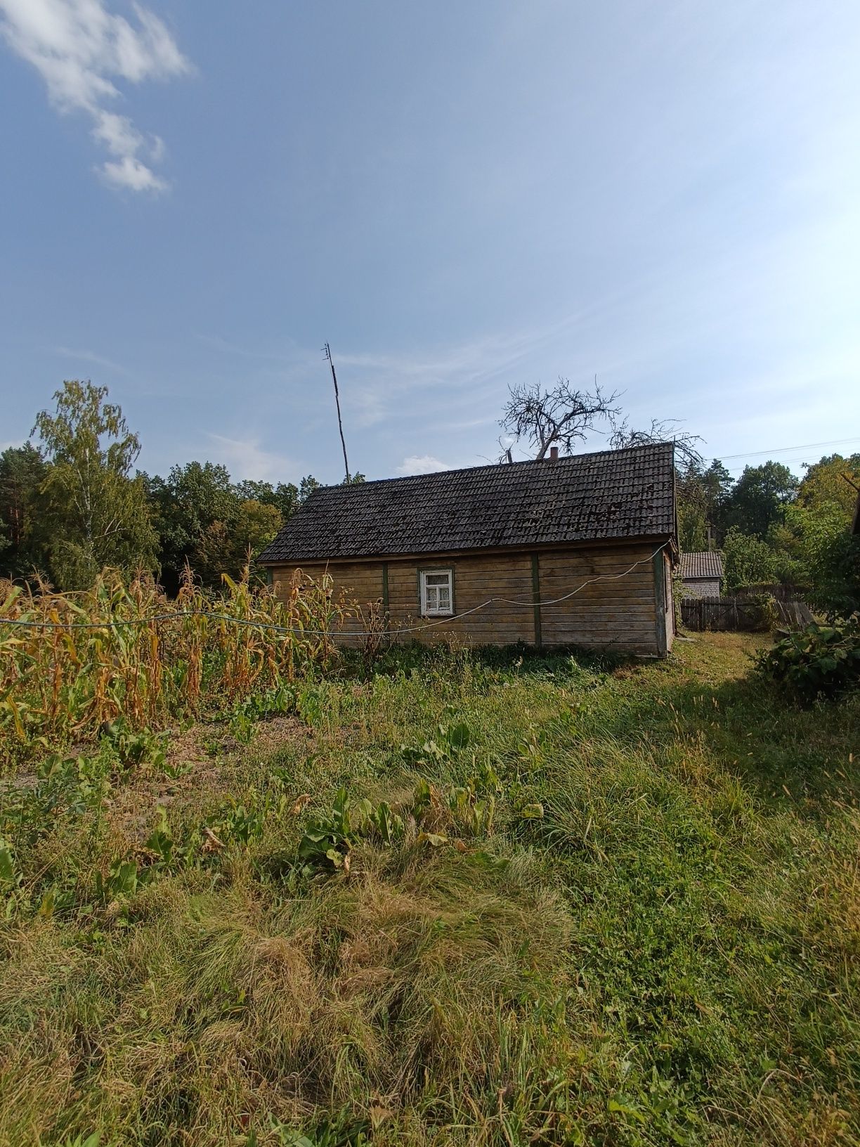 Велика земельна ділянка з будиночком в Тригір'ї