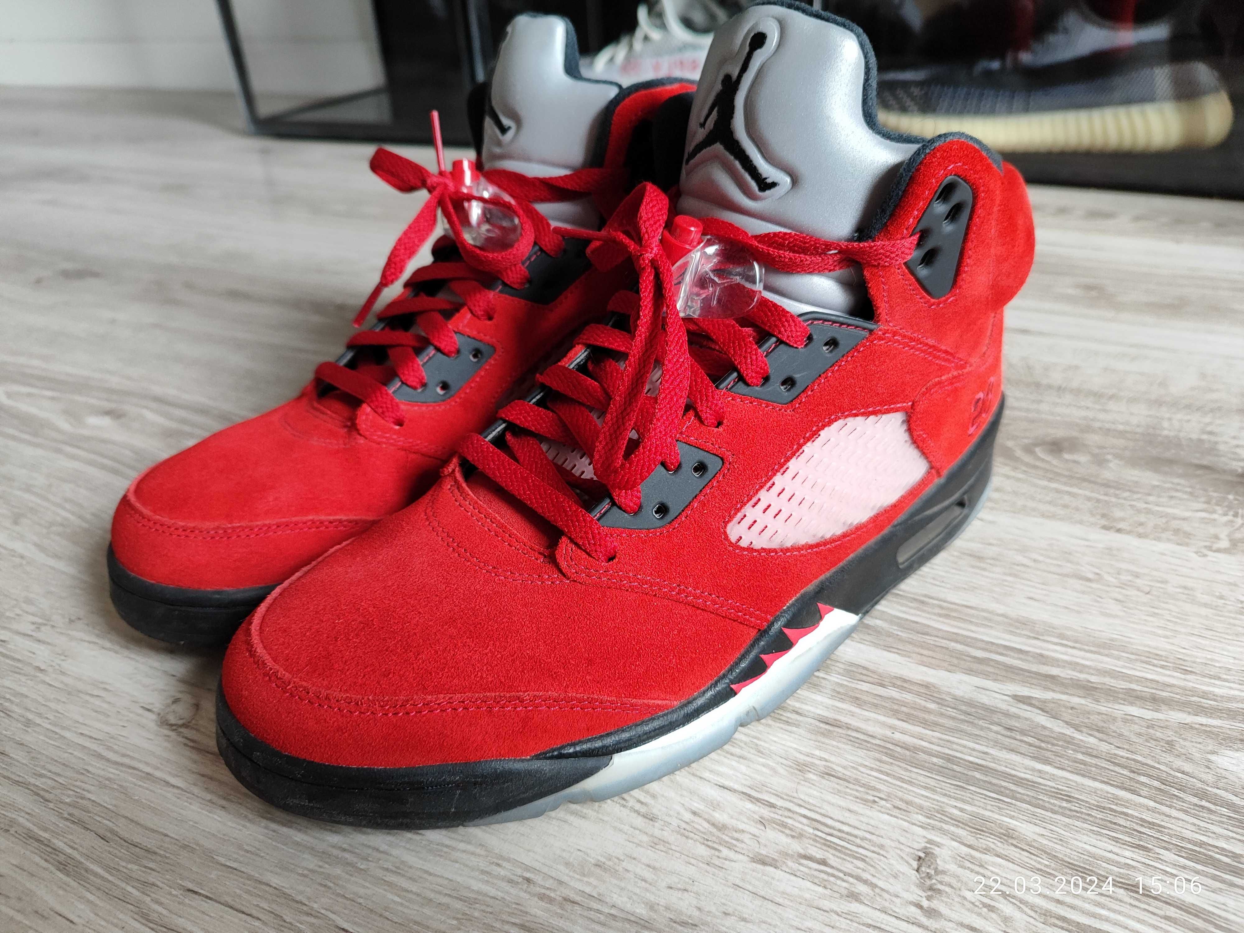 Air Jordan 5 Raging bull