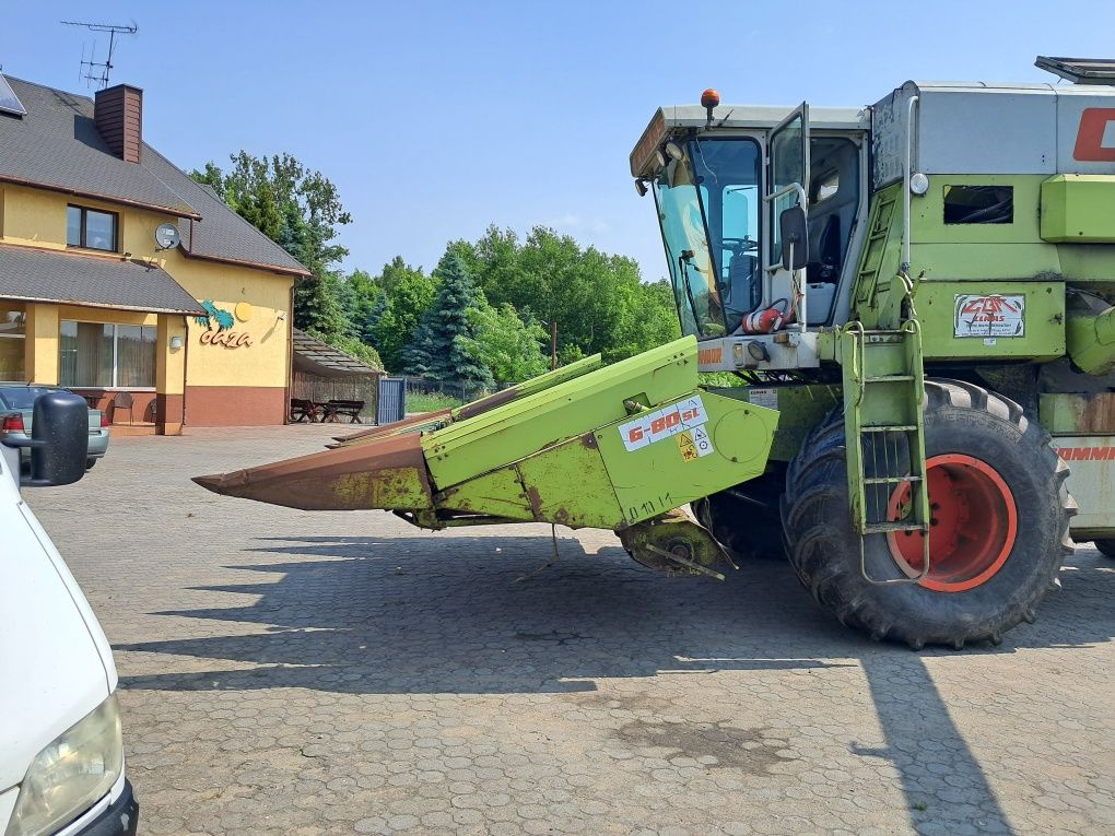 Przystawka do kukurydzy 6 rzędów sztywna