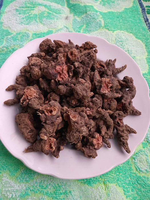 Корінь калгану сушений (перстач)