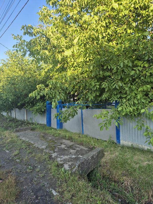 Будинок Кам'яна Чернівецька
