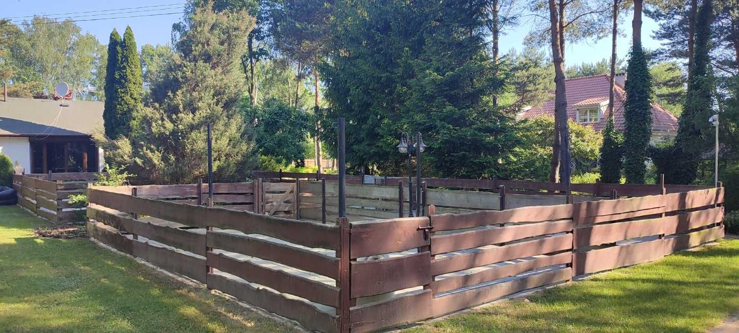 Wakacje dla psa - HOTEL dla psów - Opieka nad psem