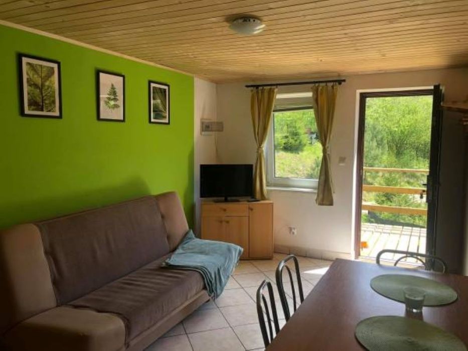 Apartamenty  Domki Pokoje Jacuzzi Bieszczady Nad Jeziorem Las w Górach