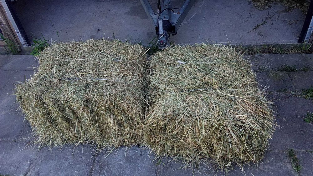 siano w kostkach 60 kostek transport