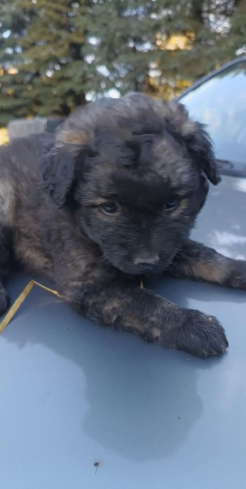 Podaruj dom maluchowi