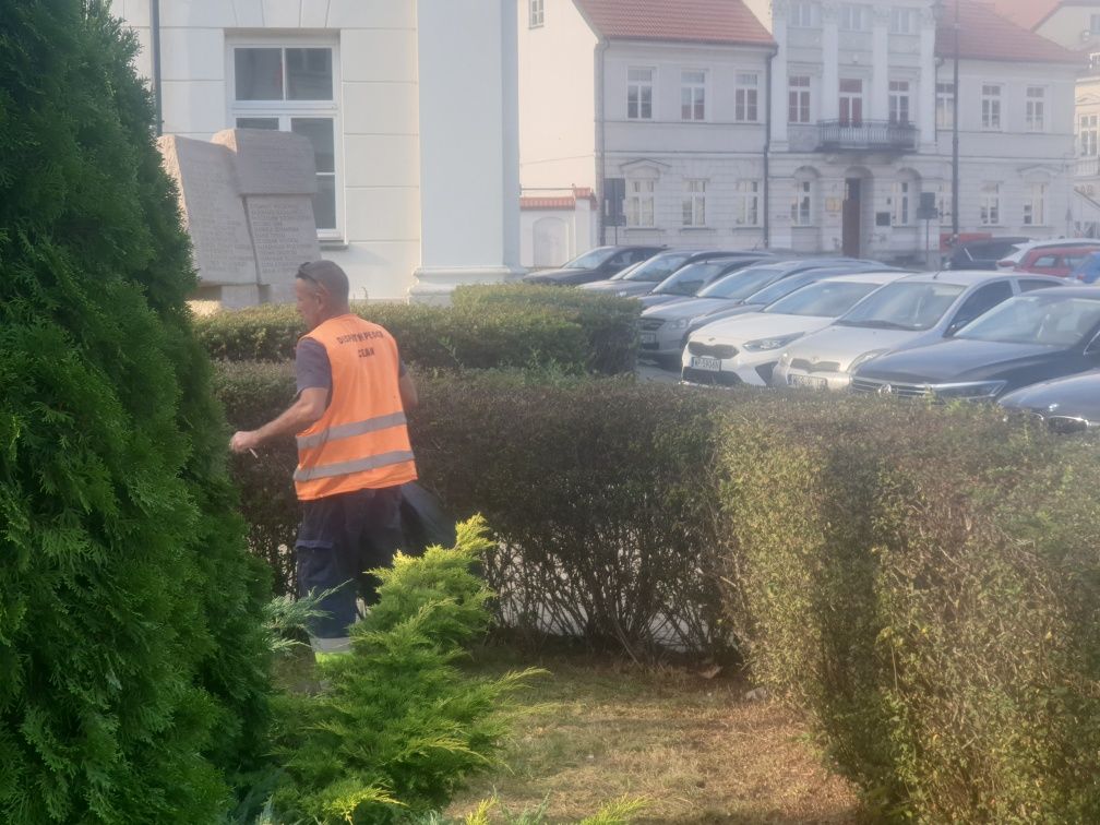 Koszenie trawy, sprzątanie zewnętrzne i wewnętrzne, wycinka drzew