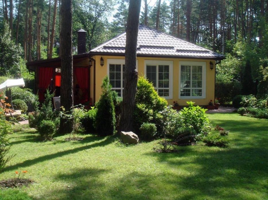 ДОМИК В ЛЕСУ.Загородный отдых под Киевом в сосновом лесу возле моря.