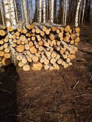 Drewno opałowe, brzoza