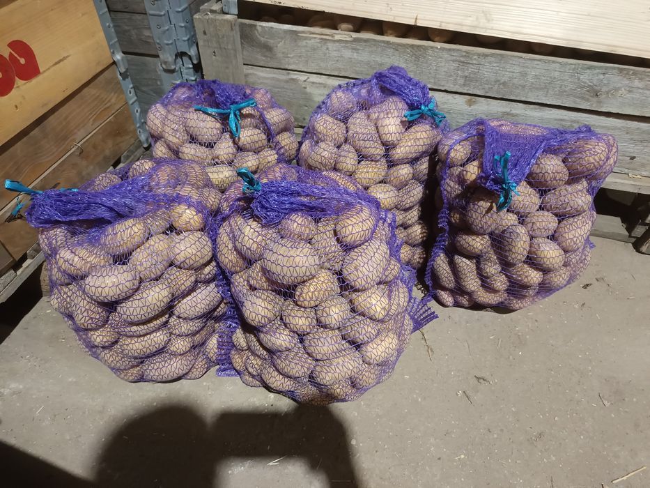 Ziemniaki Queen Anna