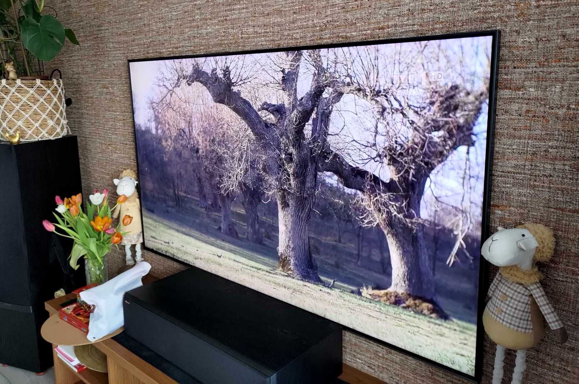 Samsung QLED 55Q9FN flagowiec zadbany 55 cali